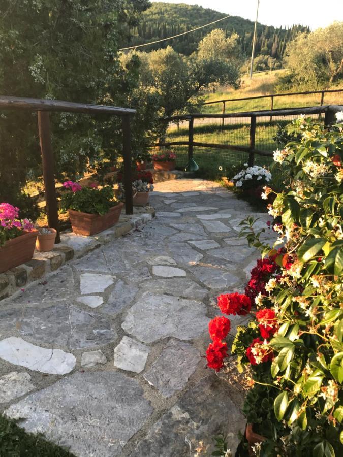 Salto Di Gatto Villa Castellina in Chianti Exterior foto